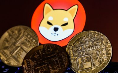 Shiba Inu Becomes the Most Performing Crypto Asset of the Week